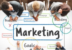 Marketing Management - Marketing Management MBA Project Report - MBA Project Guru